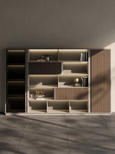 Boss Office Background Cabinet Light Luxury File Cabinet Data Cabinet Simple Modern Bookcase Locker Floor Cabinet Bookshelf